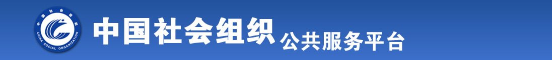 深夜插逼视频全国社会组织信息查询